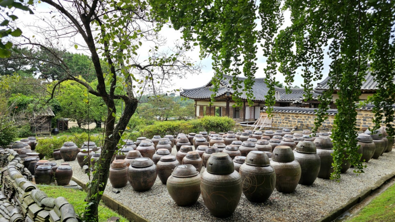 How the Korean Diet Differs from the American Diet (And Why It Matters)