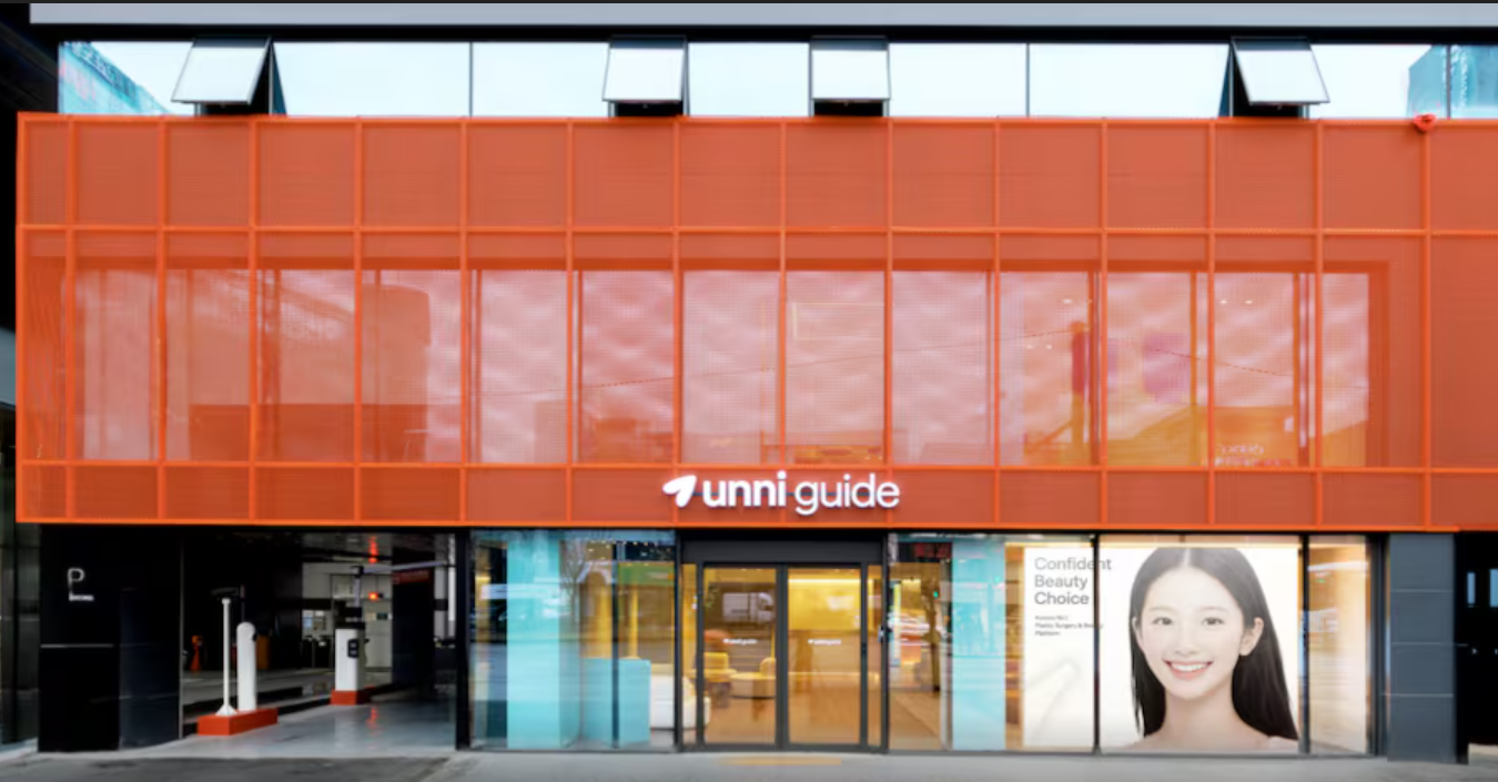 Unni Guide vs Gangnam Unni: Choosing Plastic Surgery Clinics in Korea
