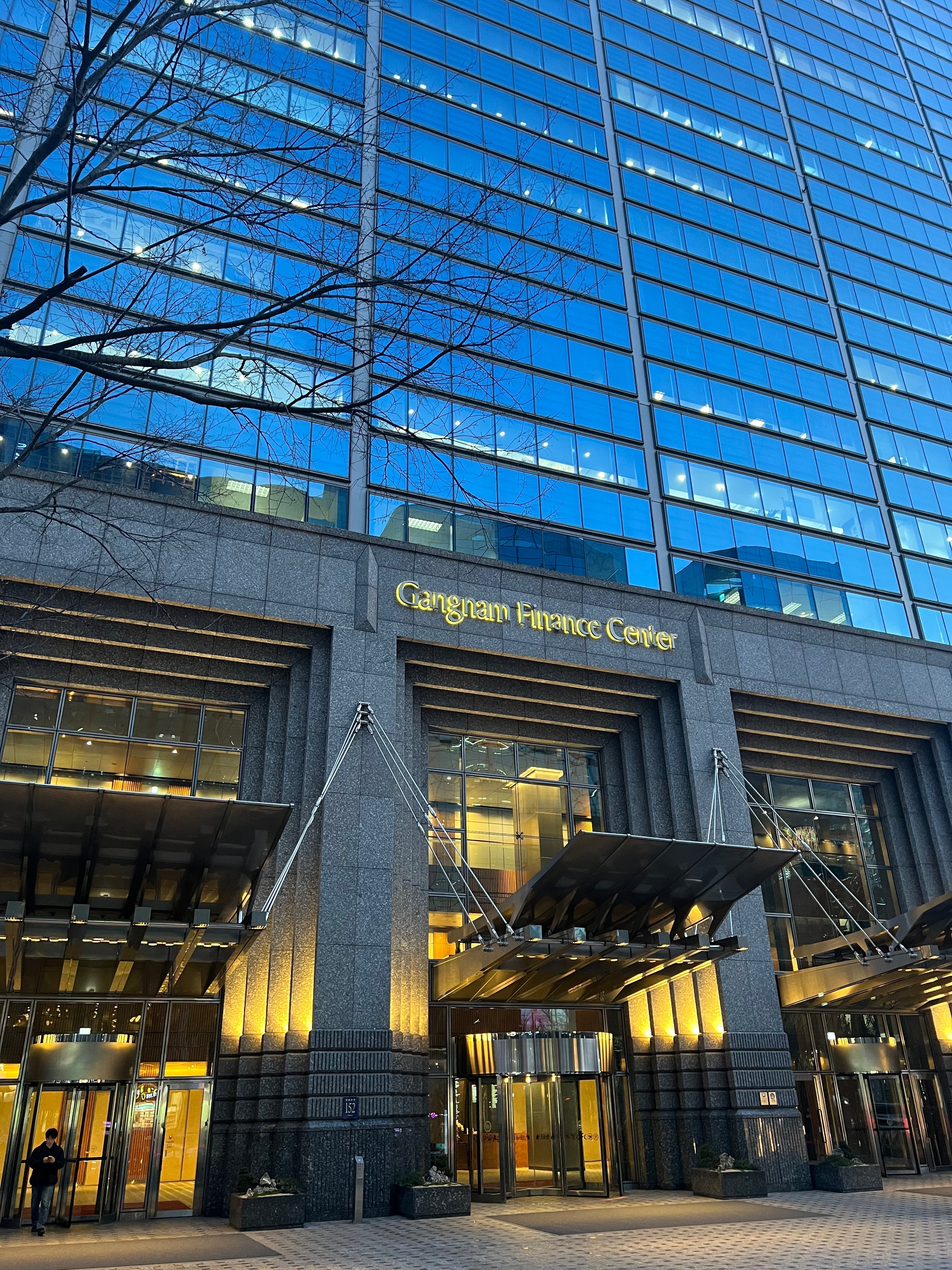 How Himedi Vets Clinics in Korea — Checkup Centers: Seoul National University Hospital Gangnam Center