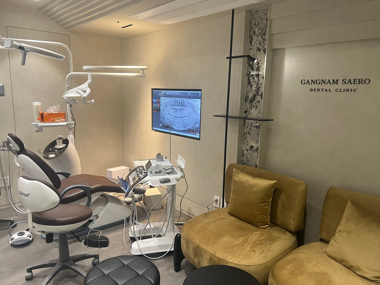 How Himedi Vets Clinics in Korea — Dental Clinic: Gangnam Saero
