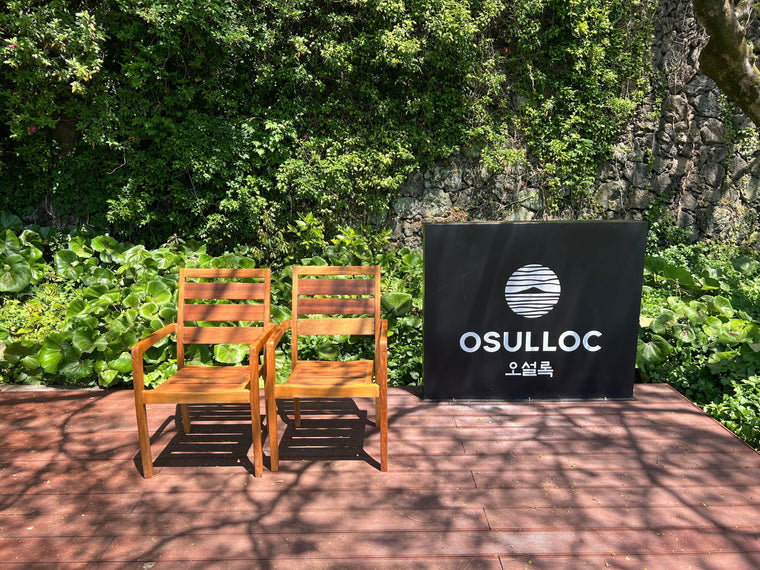 O’Sulloc Tea Museum: A Must-Visit Stop in Jeju