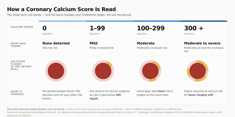 Why Americans Are Booking a Coronary Calcium Scan in Korea