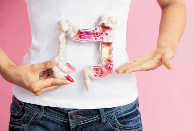 Gut Health in Korea: Korean Foods, Microbiome & Gut Testing in Seoul