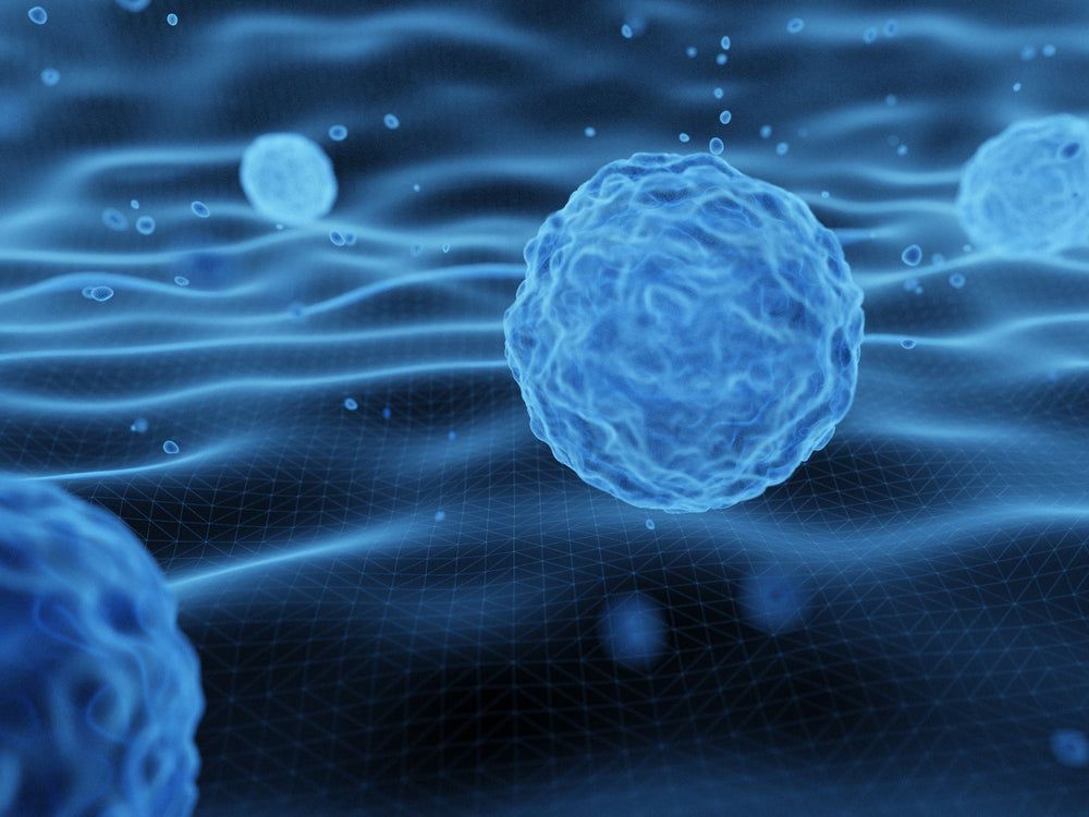 Why Stem Cell in Korea? The New Frontier of Anti-Aging