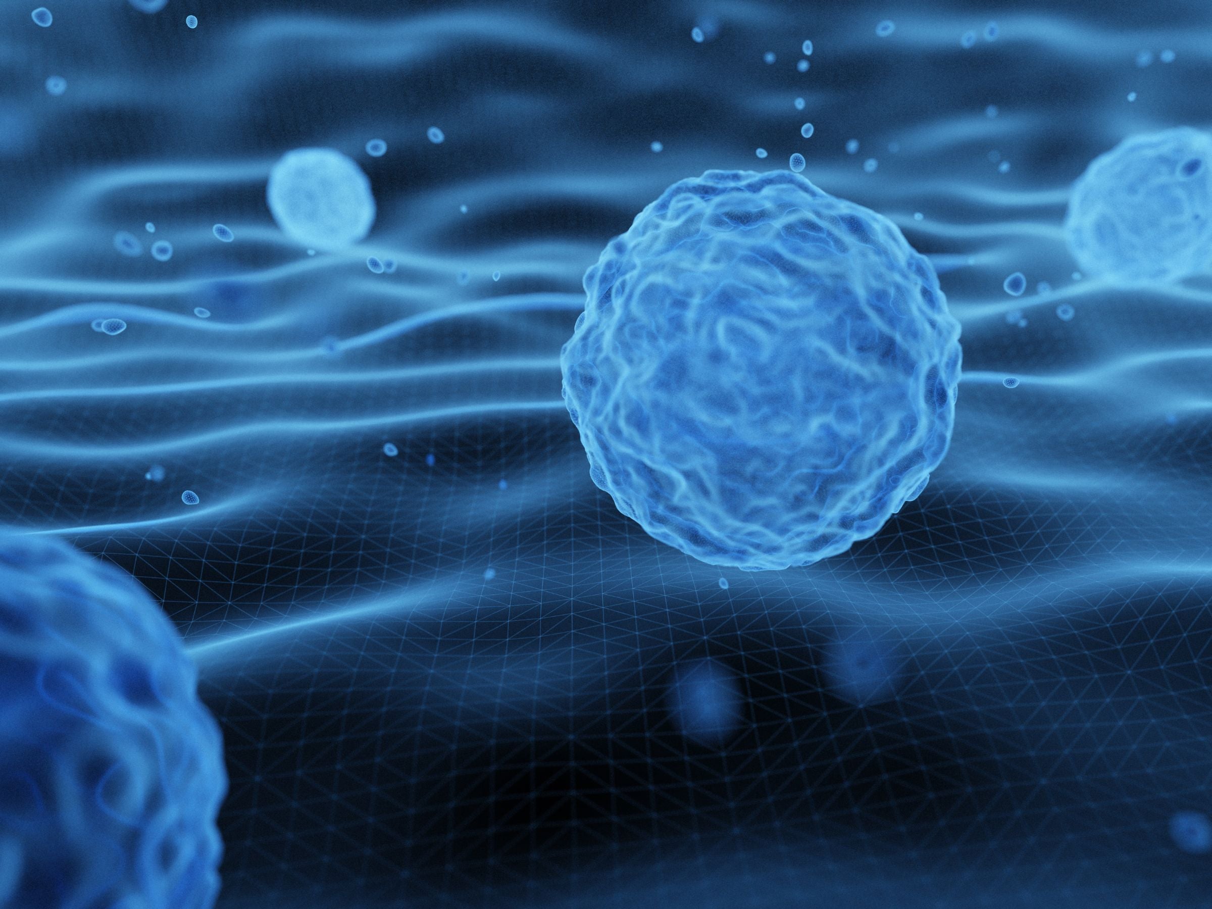 Why Stem Cell in Korea? The New Frontier of Anti-Aging