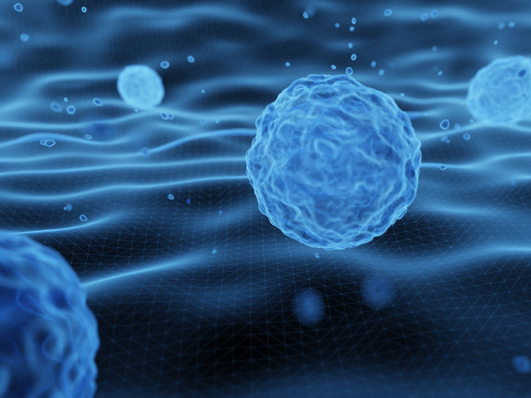 Why Stem Cell in Korea? The New Frontier of Anti-Aging