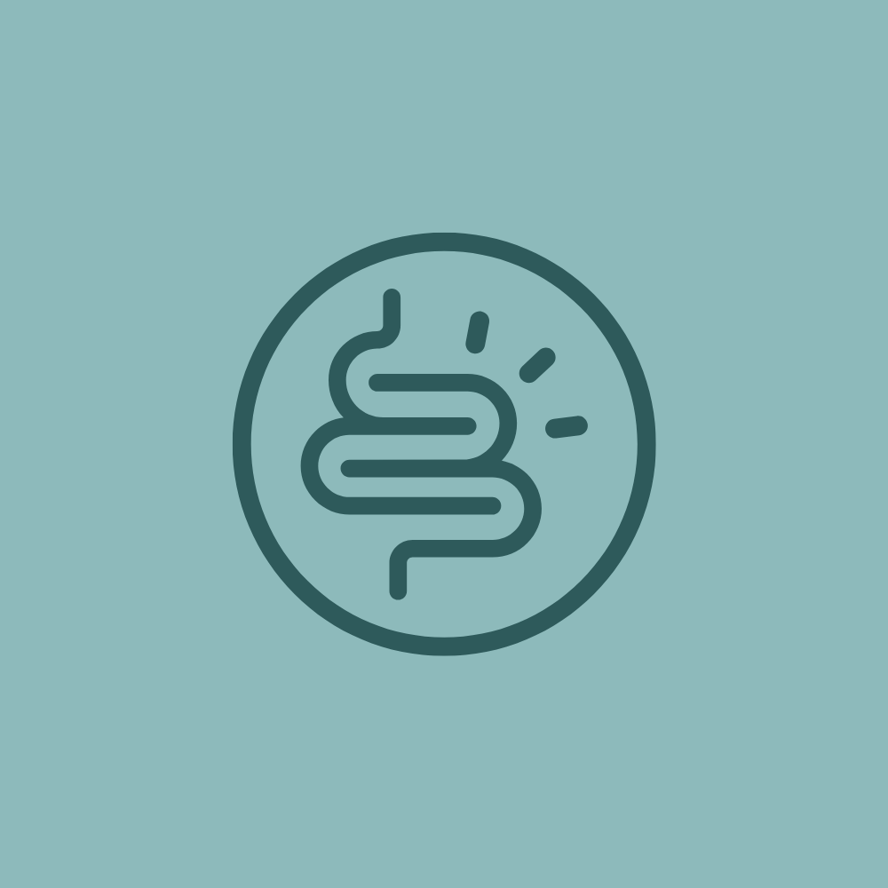 Macrogen Gut Microbiome Stool Test (Hanshin)