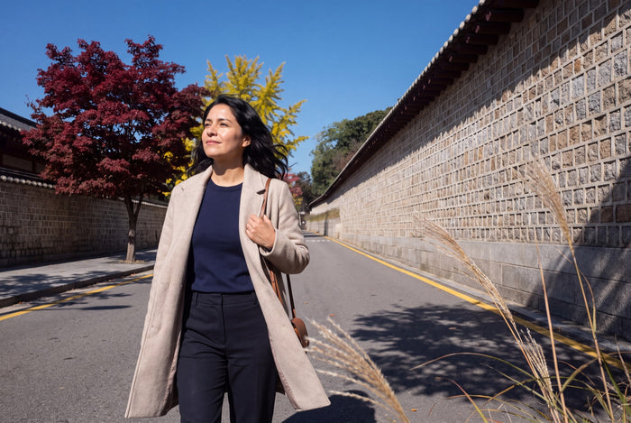Walking to a morning checkup past the Jongmyo shrine wall in Seoul